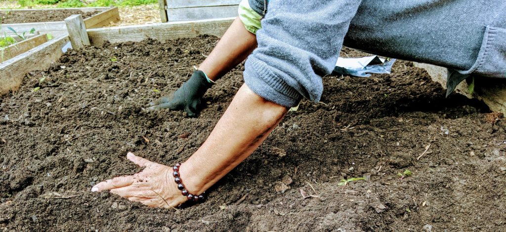 Close-upgarden+bed Close-upgarden+bed